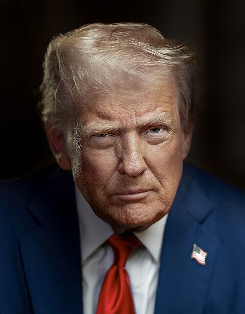 Donald Trump profile portrait