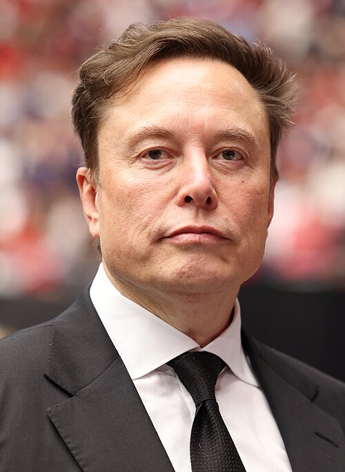 Elon Musk profile portrait