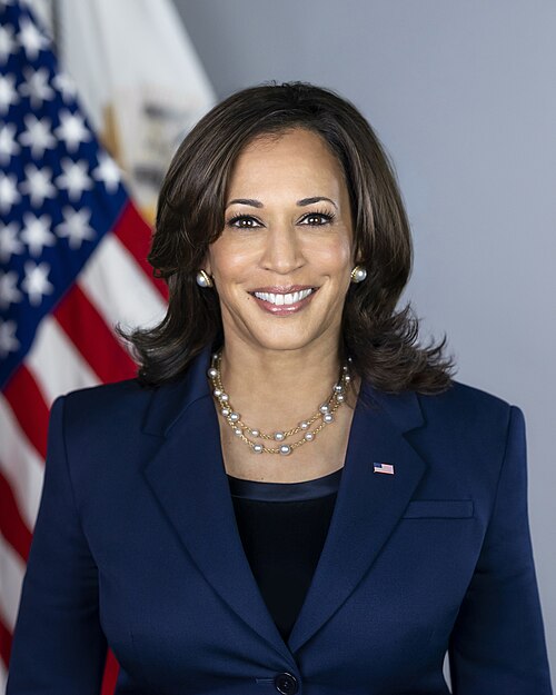 Kamala Harris profile portrait
