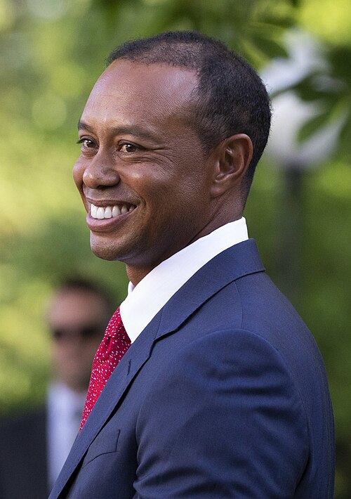 Tiger Woods profile portrait